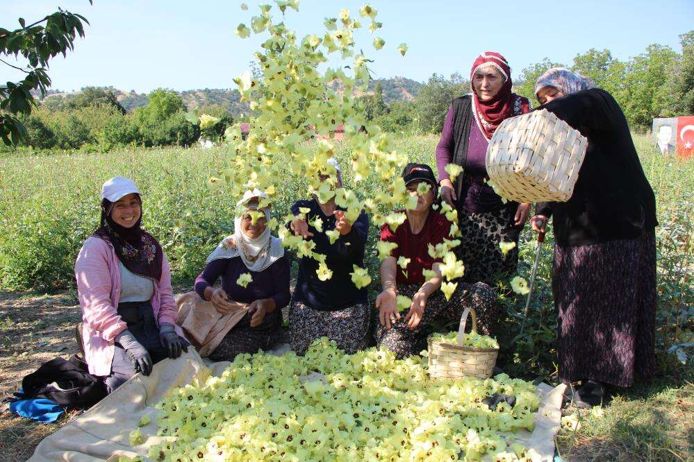 Konya düğün sofralarının vazgeçilmezi! Kilosu 1400 lira, topla topla bitmiyor 1